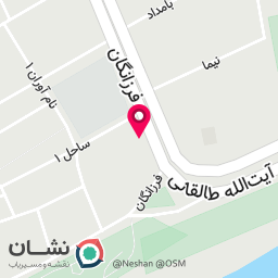 عکس همبرگر زنبور