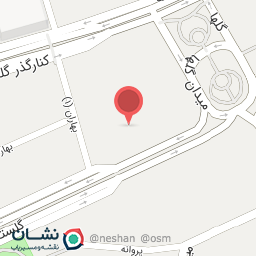 عکس طلا و جواهر پرنس