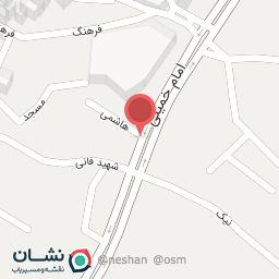 عکس پیتزا جیلیز ویلیز