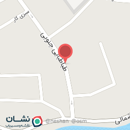 عکس کیف و کفش خانوم طلا