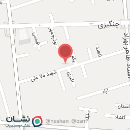 عکس مسکن کلید طلایی