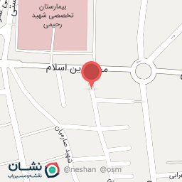 عکس میهمان سرای ناصری