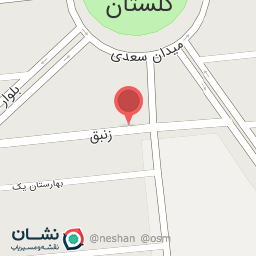 عکس رویا جین