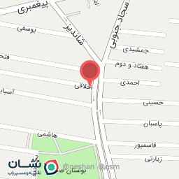 عکس پیتزا آوا