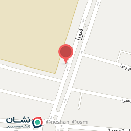 عکس مرغ چادگان(ثمین)