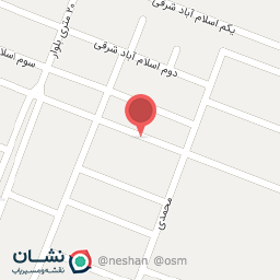 عکس الکتریکی جامعی