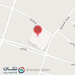 عکس کفش آلما