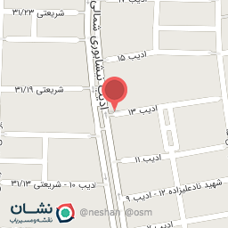 عکس الکتریکی 