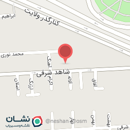 عکس کیف و کفش پاناز