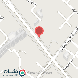 عکس کفش امیر (فروتن)