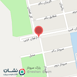 عکس خودپرداز بانک سامان