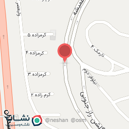 عکس اول نصر