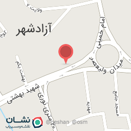 عکس کیف و کفش چرم پا