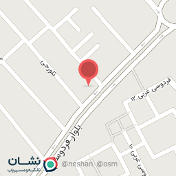 عکس سبزیجات و سرخ شده های آشپز نمونه