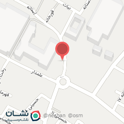 عکس تشریفات و همراهی اشخاص (بادیگارد)