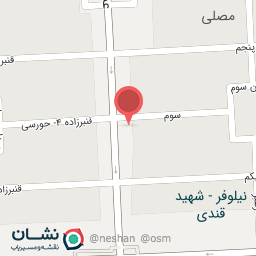 عکس برگر زغالی نیلوفر