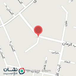 عکس مکانیکی بیگ محمدی