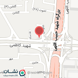 عکس چادردوزی سینایی