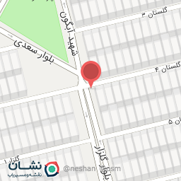 عکس پیتزا  ونیز