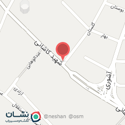 عکس فست فود زیز