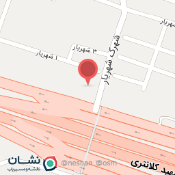 عکس پیتزا پت و مت