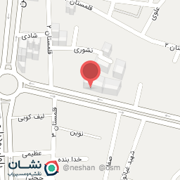 عکس فست فود آنی