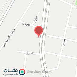 عکس مکانیکی استاد کامبیز