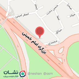 عکس پیتزا همبرگر ۱۱۰