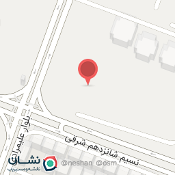 عکس کیف و کفش مدیست