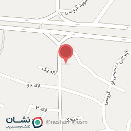 عکس ارزانسرای ماهان 