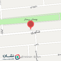 عکس دبیرستان صیانت