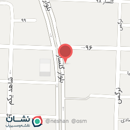 عکس کفش برتونیکس