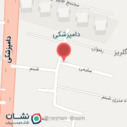 عکس تاکسی تلفنی نور 