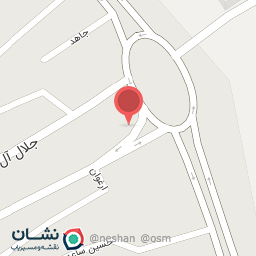 عکس پیتزا مون