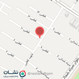 عکس پت شاپ مورچه