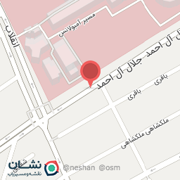 عکس غذای دنا