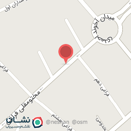 عکس کیف و کفش شاره