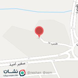 عکس درخت چنار کهن