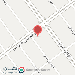 عکس دکتر پروین همتی