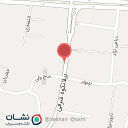 عکس خودپرداز