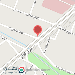 عکس پیتزا کچاپ