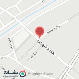 عکس کیف و کفش دوقلو ها