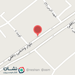 عکس پیتزا شبدیز