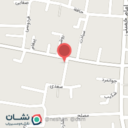 عکس گالری کیف و کفش دلاوری