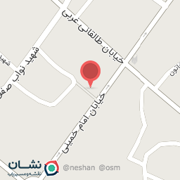 عکس سمبوسه و پیتزای بیست