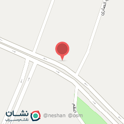 عکس پیتزا شاورما پاتوق