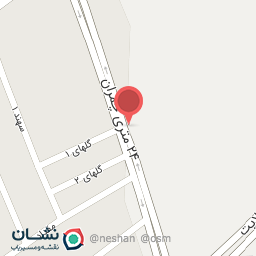 عکس مکانیکی رضا