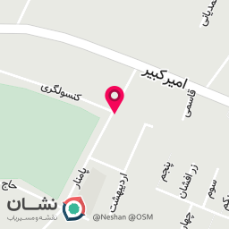 عکس فروشگاه گلچین 