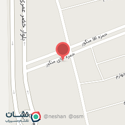 عکس انجمن بانوان ژین مهاباد