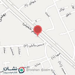 عکس جوجه زغالی امیر